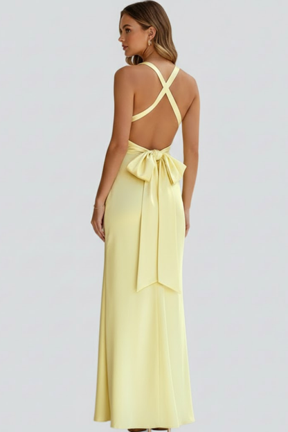 Quiro Sleeveless Maxi Dress with Deep V-Neck & Fitted Waist